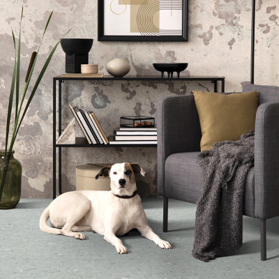 dog on vinyl flooring in living room with industrial decor.