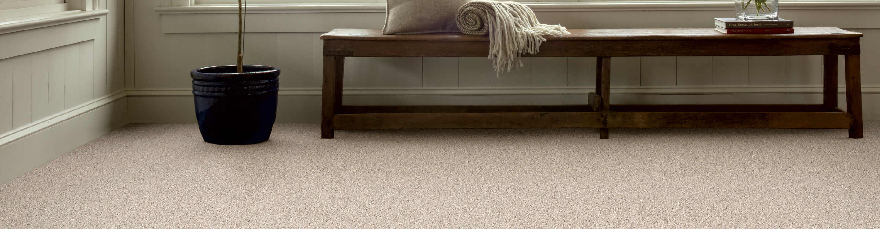 Carpet in Living Room