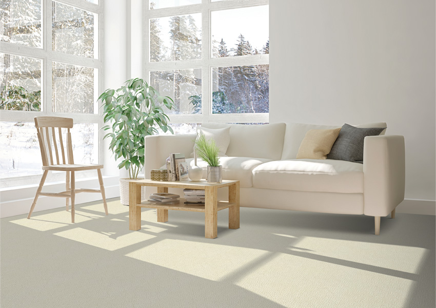 beige carpet in living room with white couch.